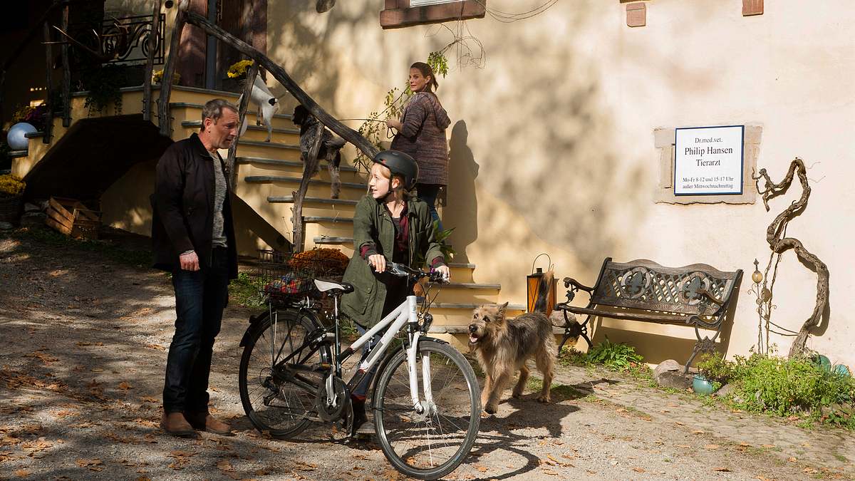 tiere bis unters dach