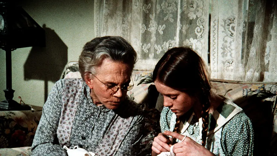 Die Waltons die waltons