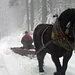 Österreich-Bild Thumbnail