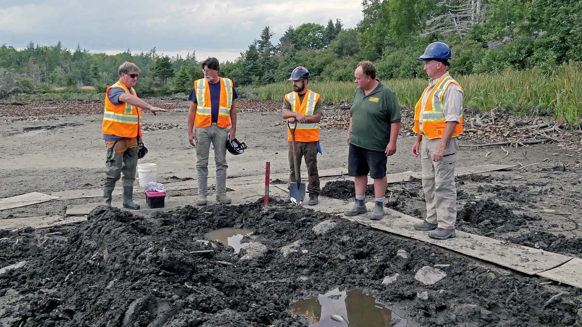 oak island - fluch und legende