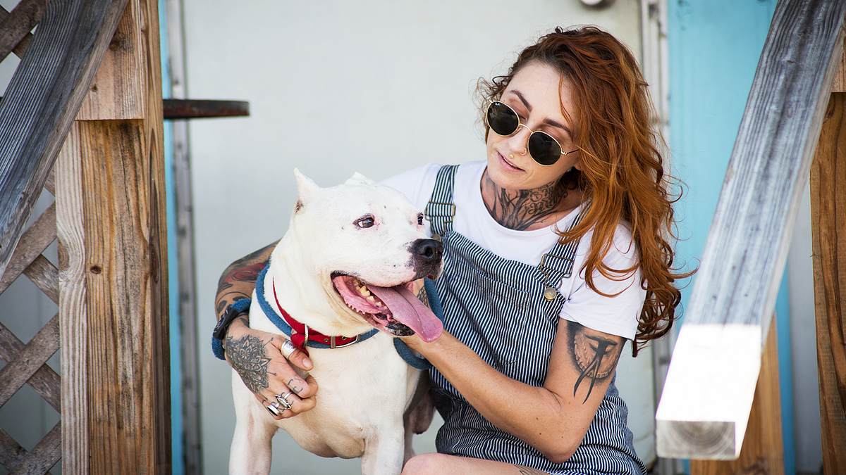 pitbulls auf bewährung