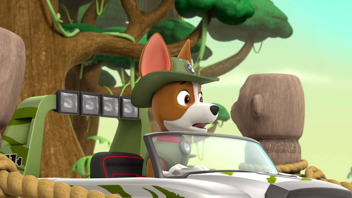 Paw Patrol - Helfer auf vier Pfoten paw patrol - helfer auf vier pfoten