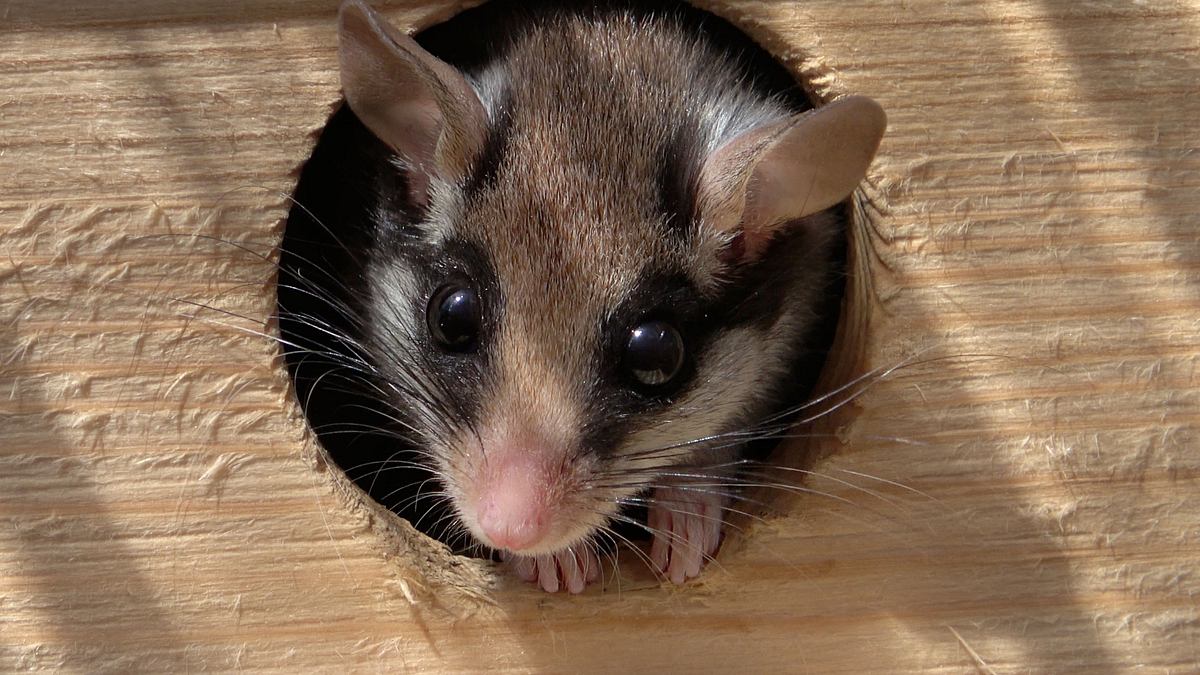 abenteuer wildnis