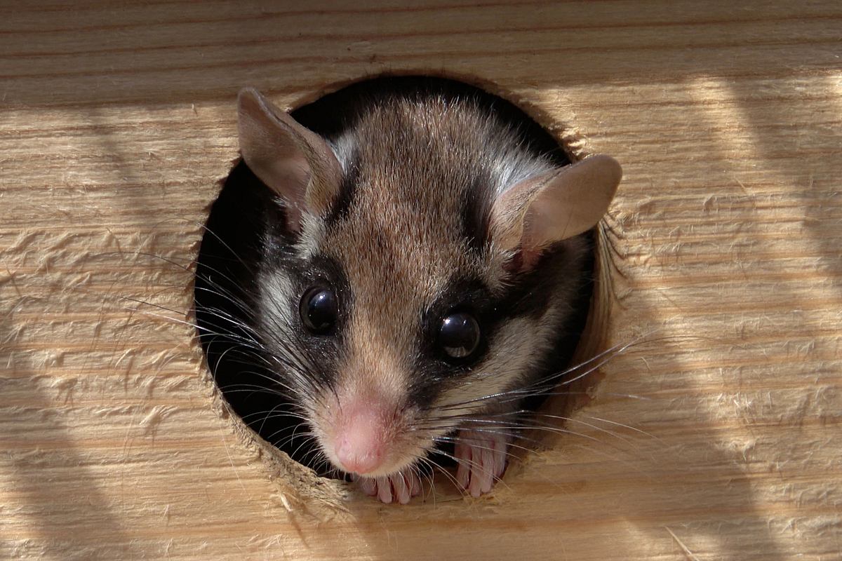 abenteuer wildnis