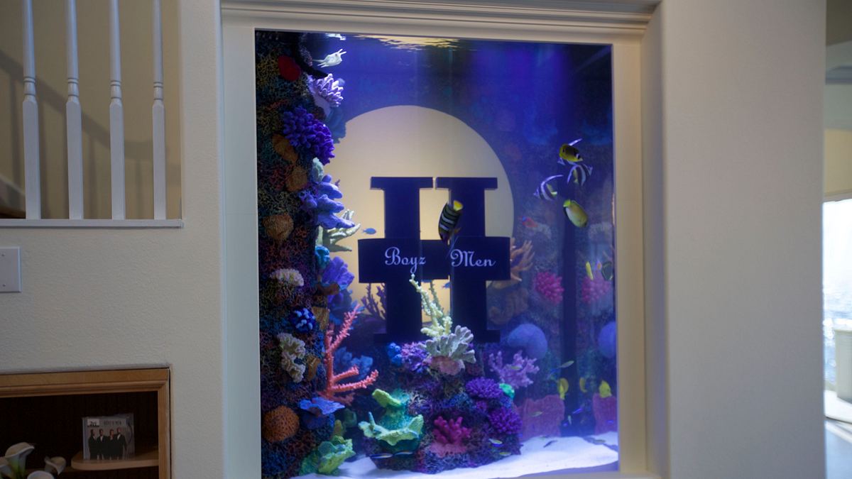 die aquarium-profis