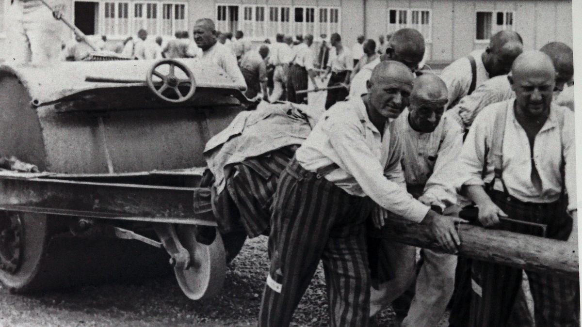 hitlers sklaven - die geschichte der ns-zwangsarbeit