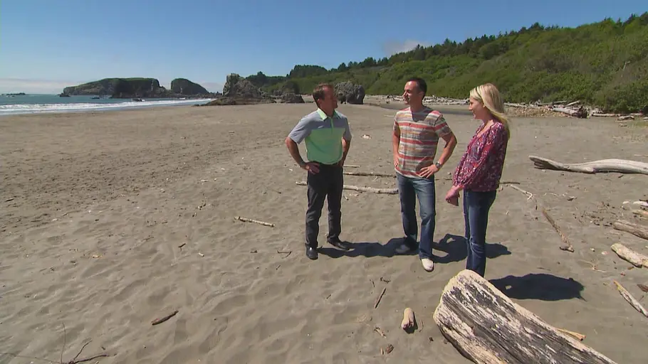 beach house hunters