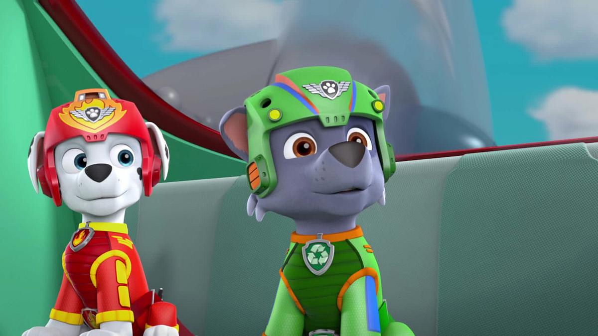 paw patrol - helfer auf vier pfoten