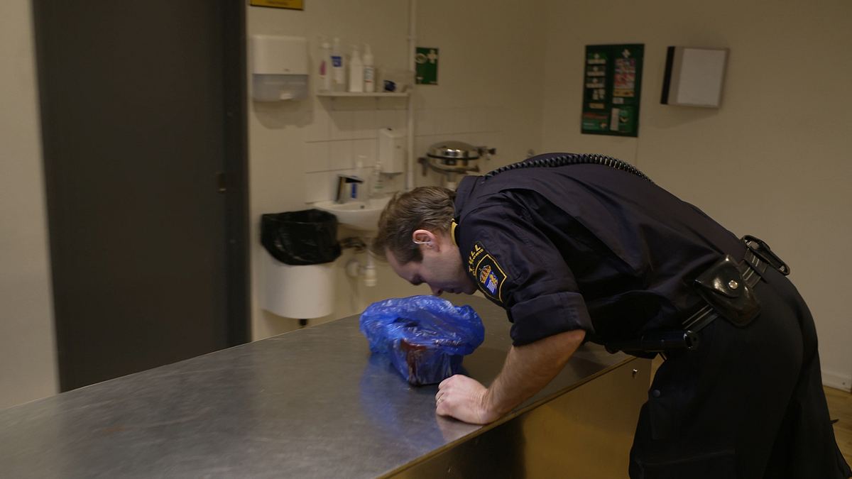 border control: schwedens grenzschützer