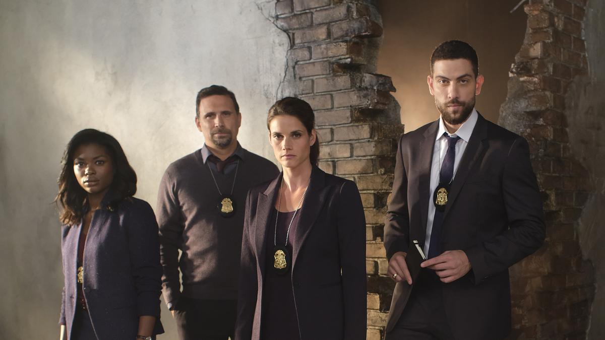 fbi: special crime unit