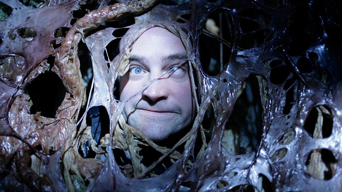 stargate atlantis