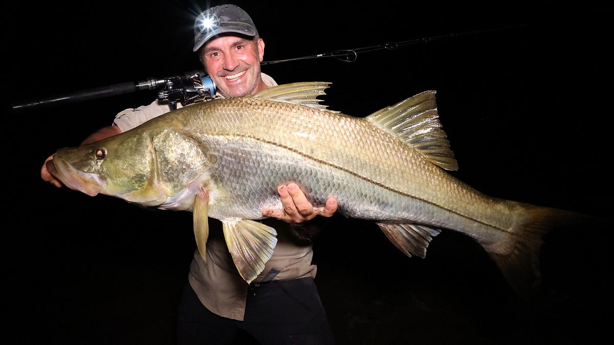 giganten unter wasser - riesenfischen auf der spur