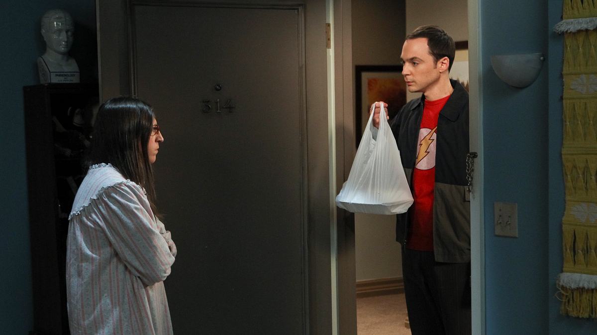 the big bang theory