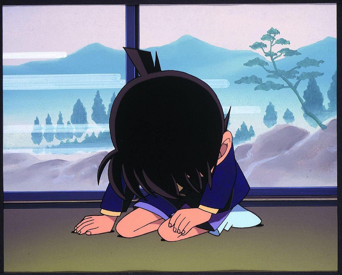 Detektiv Conan detektiv conan