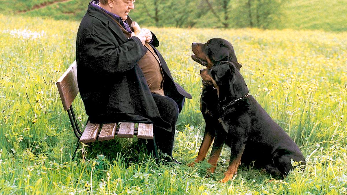 unser pappa - herzenswünsche