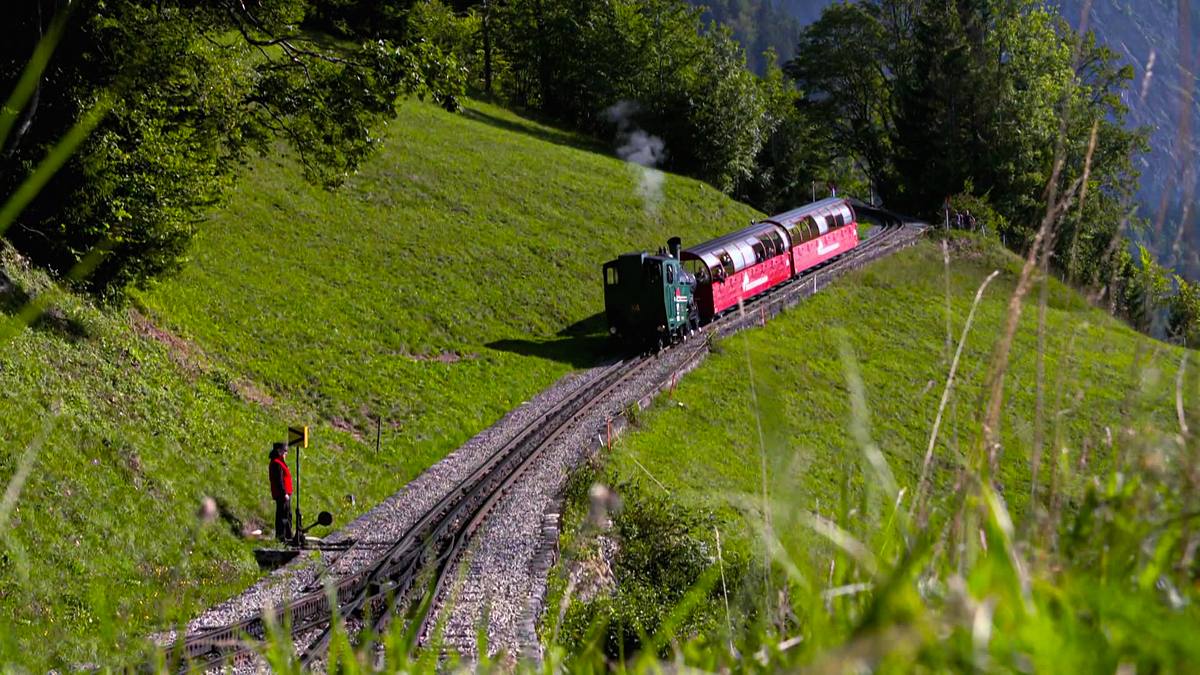 anixe auf reisen