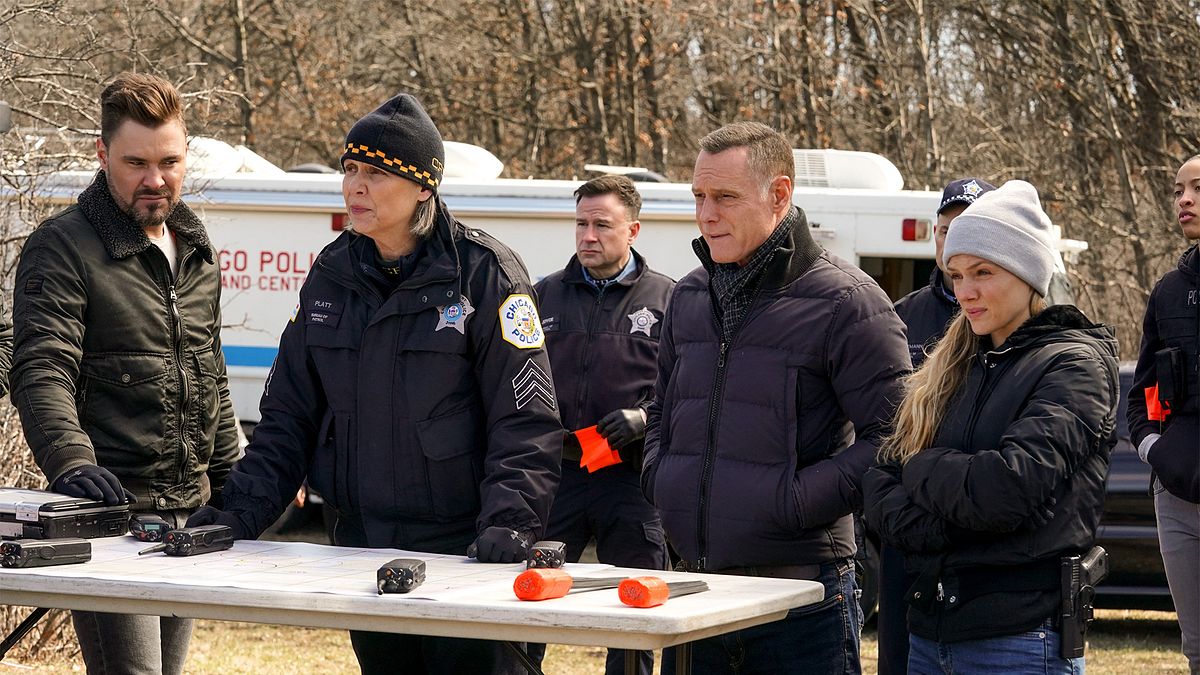 chicago p.d.