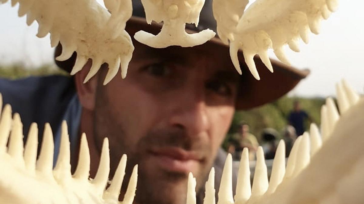 faszinierende tierwelt mit coyote peterson
