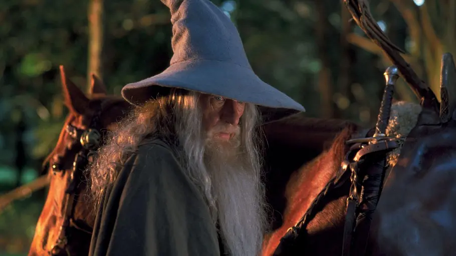 der herr der ringe - die gefährten