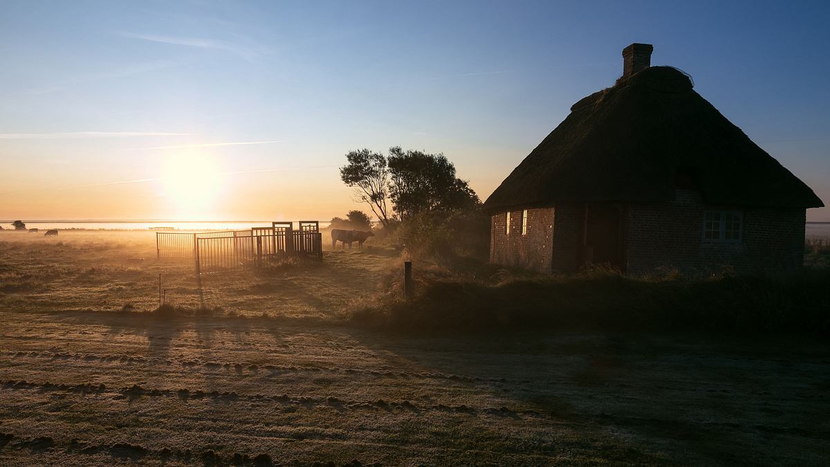 die dänischen wattenmeer-inseln - rømø, fanø und mandø