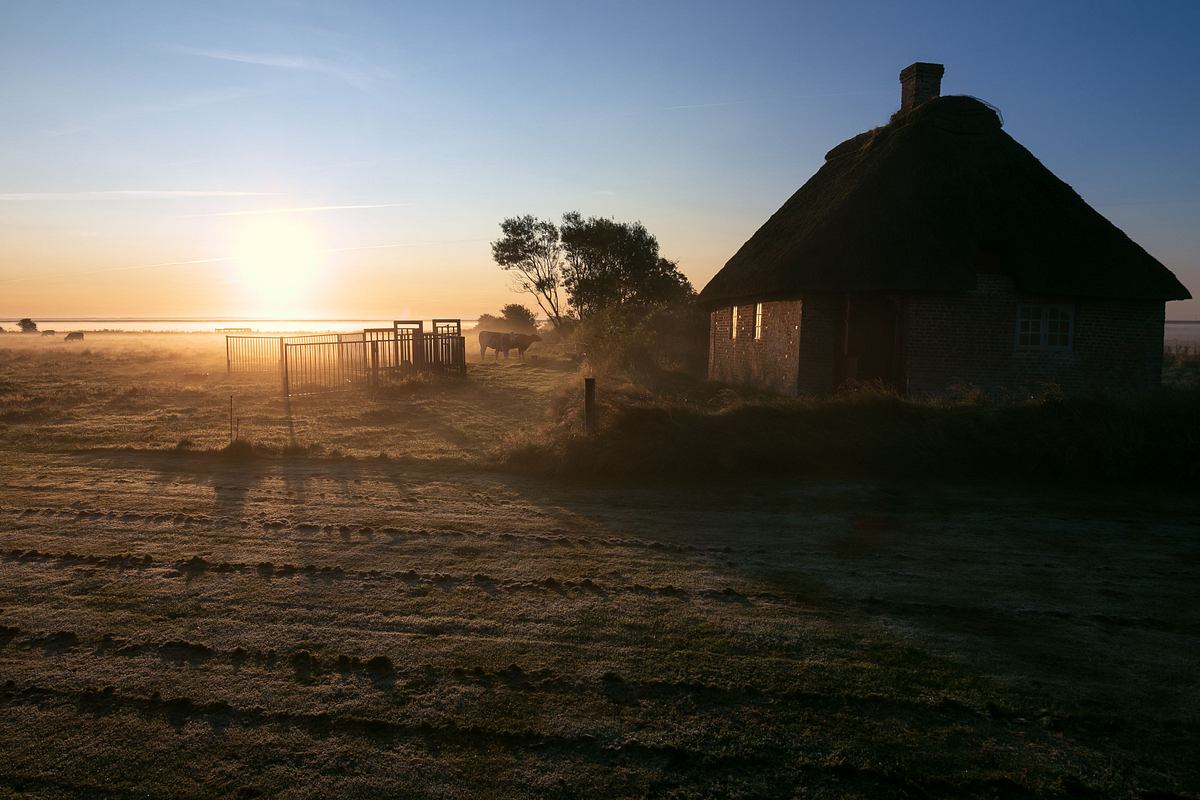 Die dänischen Wattenmeer-Inseln - Rømø, Fanø und Mandø die dänischen wattenmeer-inseln - rømø, fanø und mandø