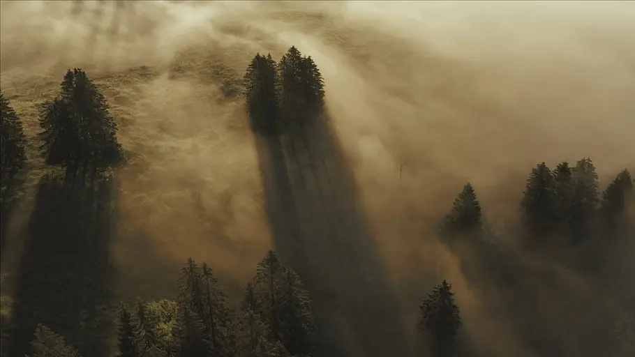 3satthementag: film ab - schweiz