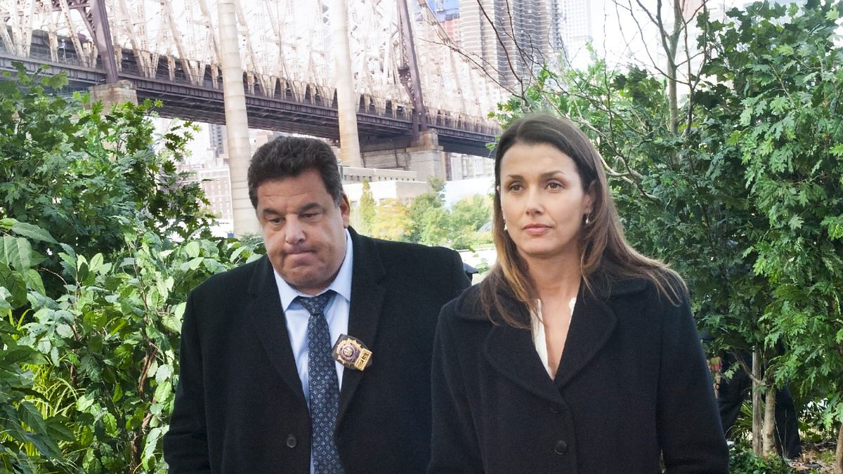 blue bloods - crime scene new york