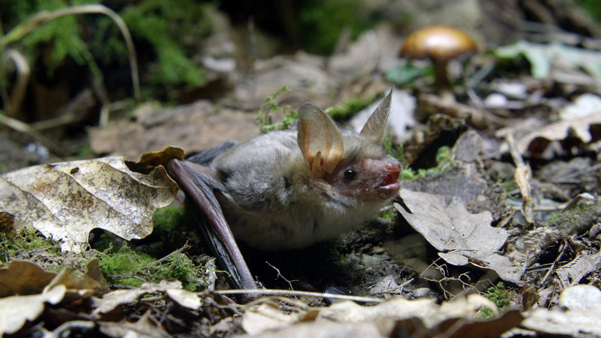 abenteuer wildnis