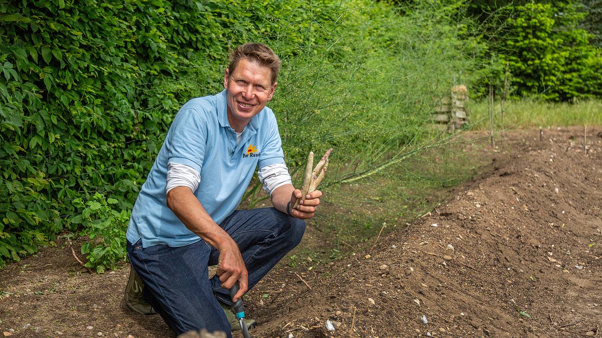 rasch durch den garten