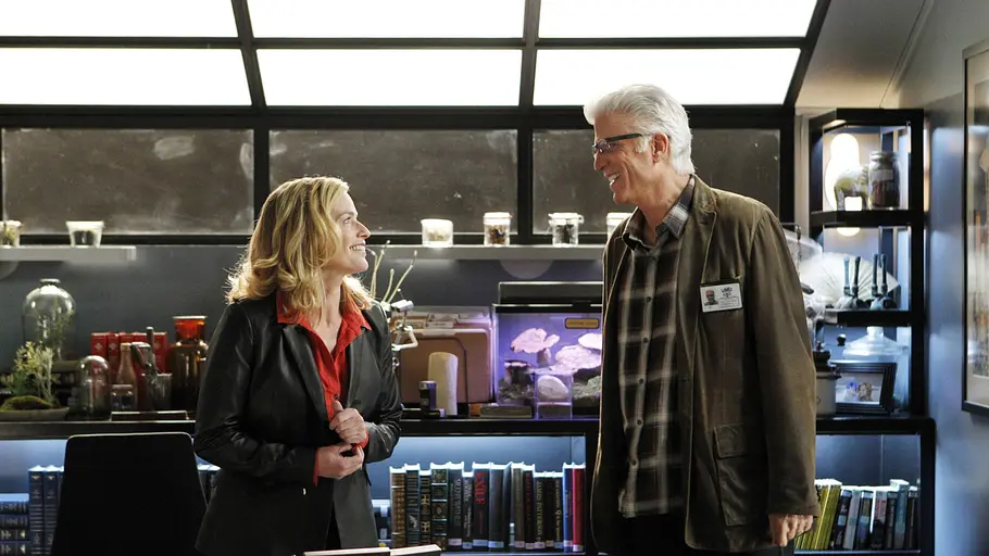 csi: vegas
