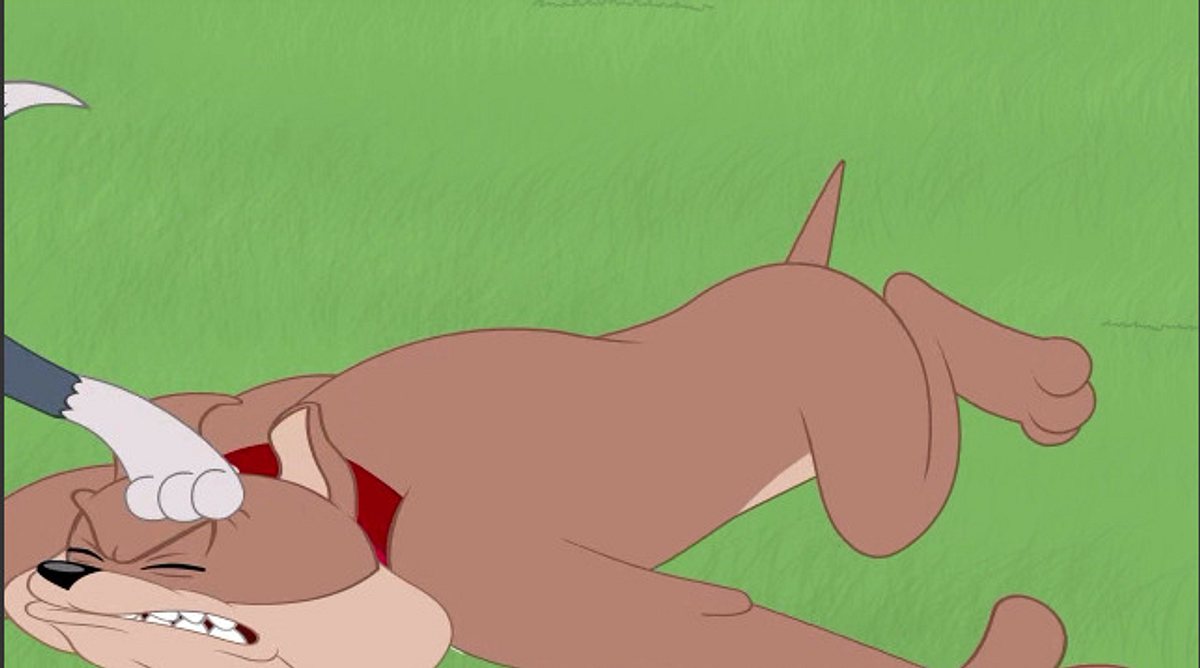 Die Tom und Jerry Show die tom und jerry show