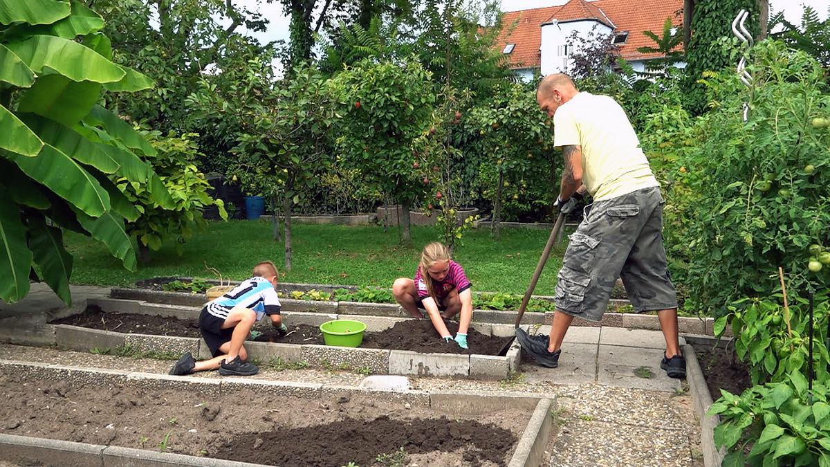 Von Hecke zu Hecke - Bunte Beetgeschichten von hecke zu hecke - bunte beetgeschichten