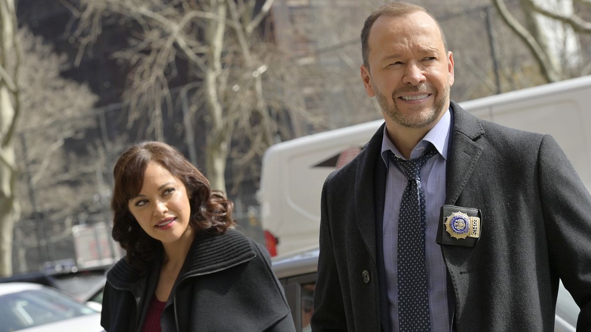blue bloods - crime scene new york
