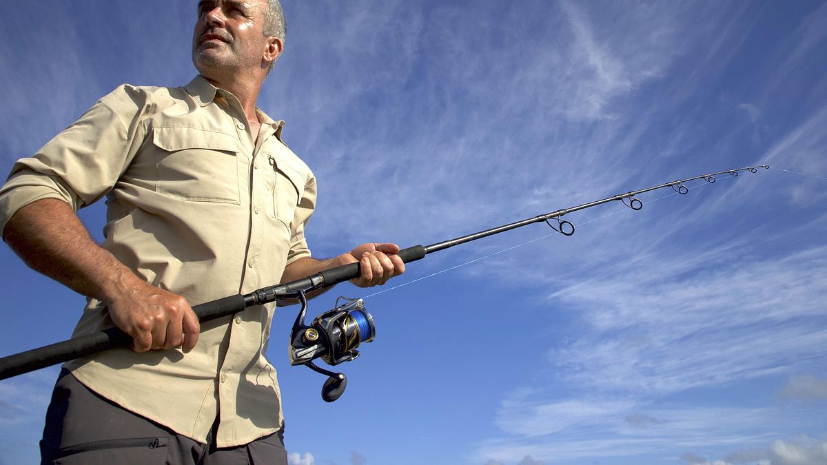 giganten unter wasser - riesenfischen auf der spur
