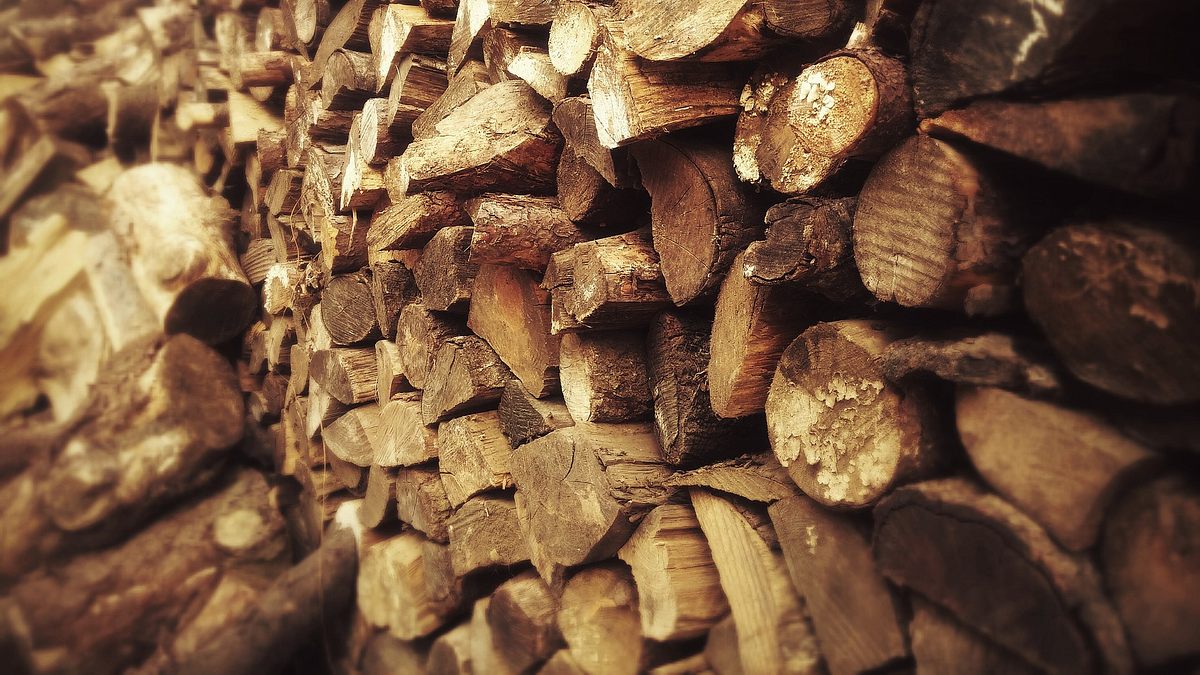 redwood kings - träume aus holz