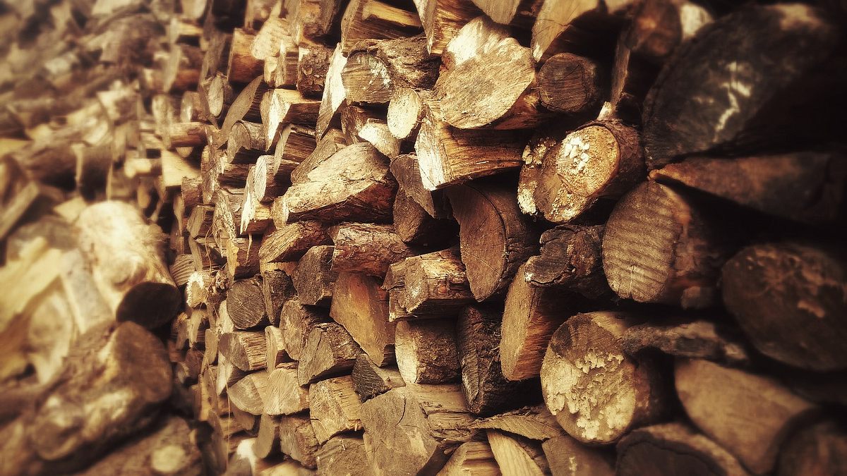 redwood kings - träume aus holz