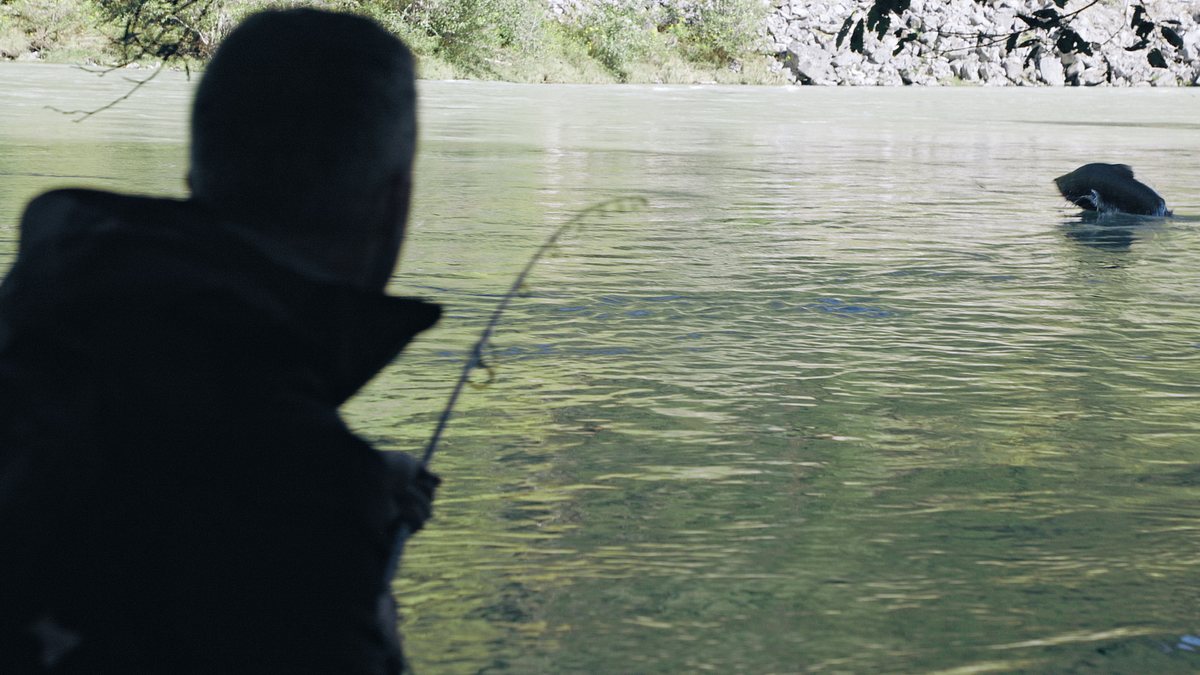 giganten unter wasser - riesenfischen auf der spur