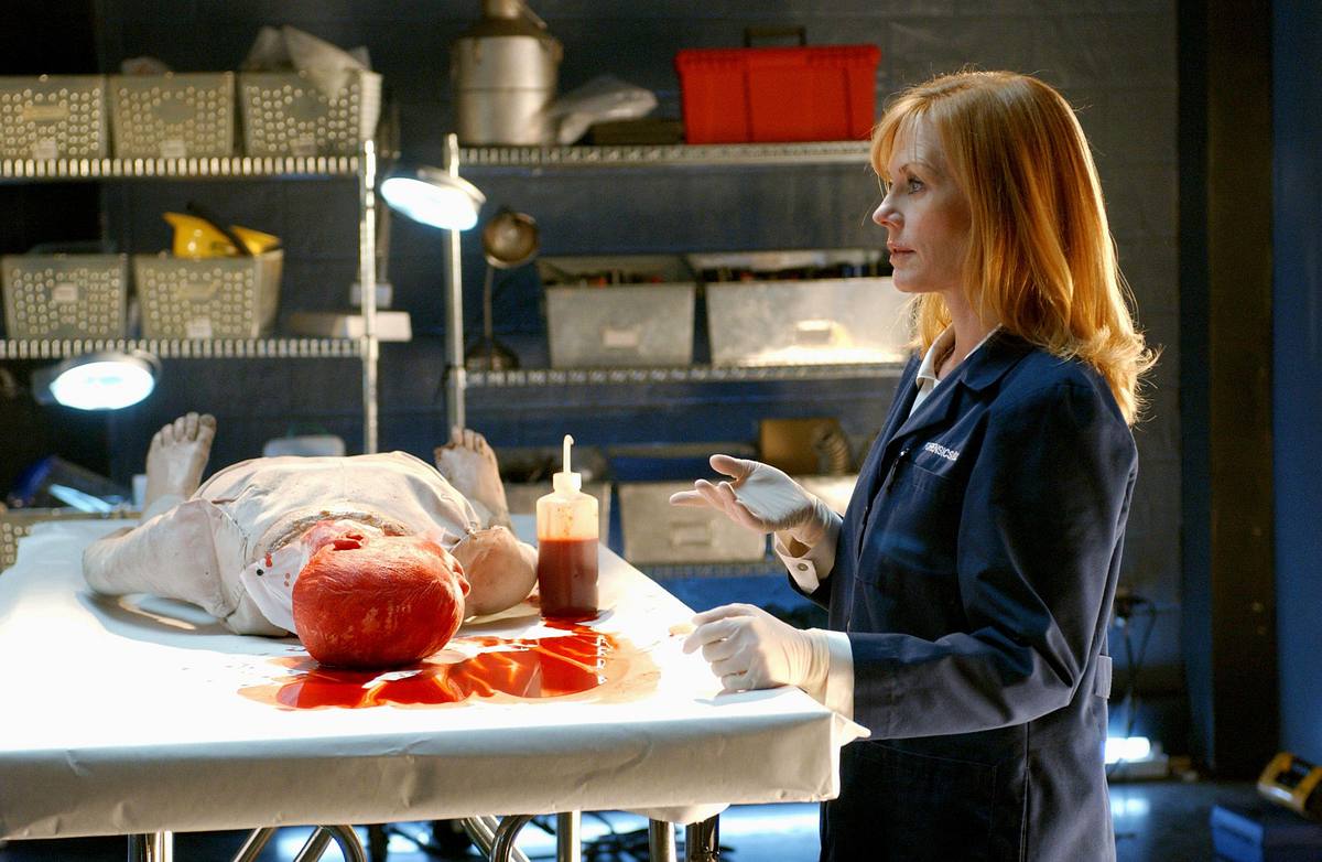 csi: den tätern auf der spur