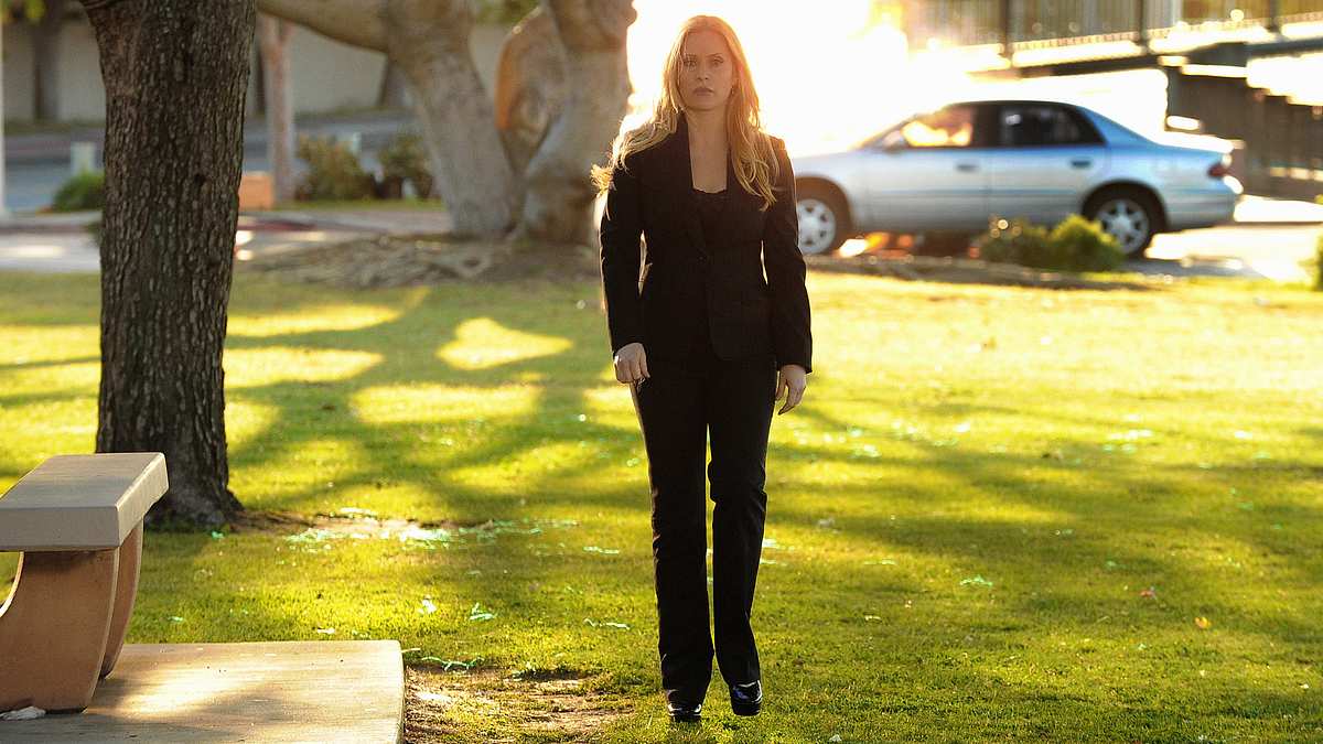 csi: miami