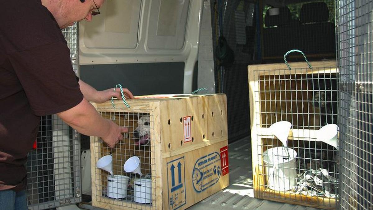 check-in für tiere