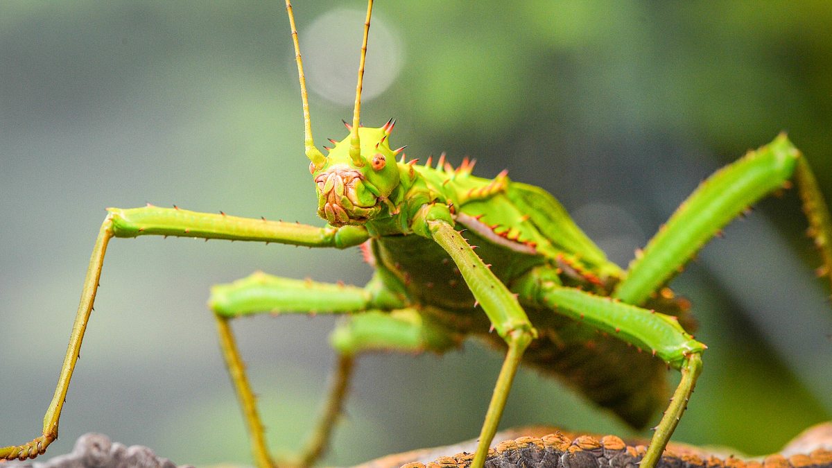 zoo und so - tierisch wild!