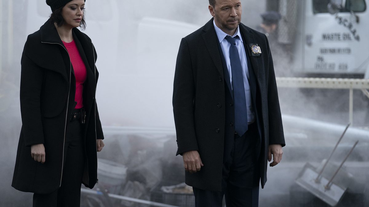 blue bloods - crime scene new york