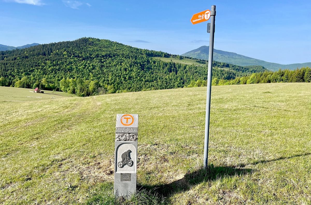 Wildes Rumänien - Via Transilvanica: Bukowina und das Hochland wildes rumänien - via transilvanica: bukowina und das hochland