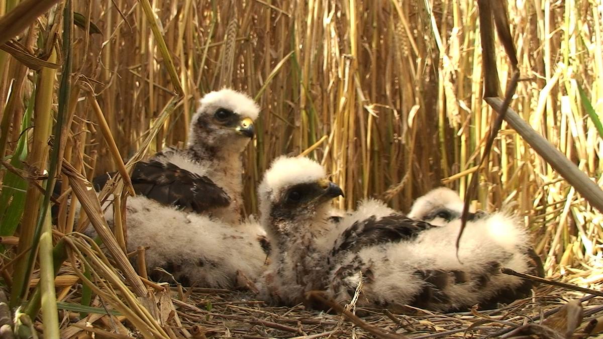 abenteuer wildnis