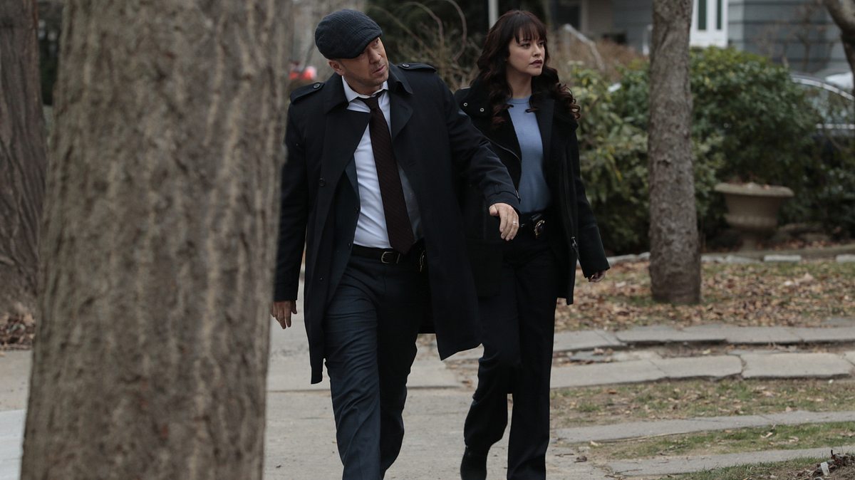 blue bloods - crime scene new york