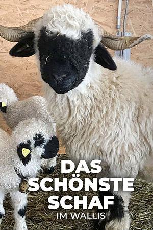 Das schönste Schaf im Wallis - Foto: TMDB