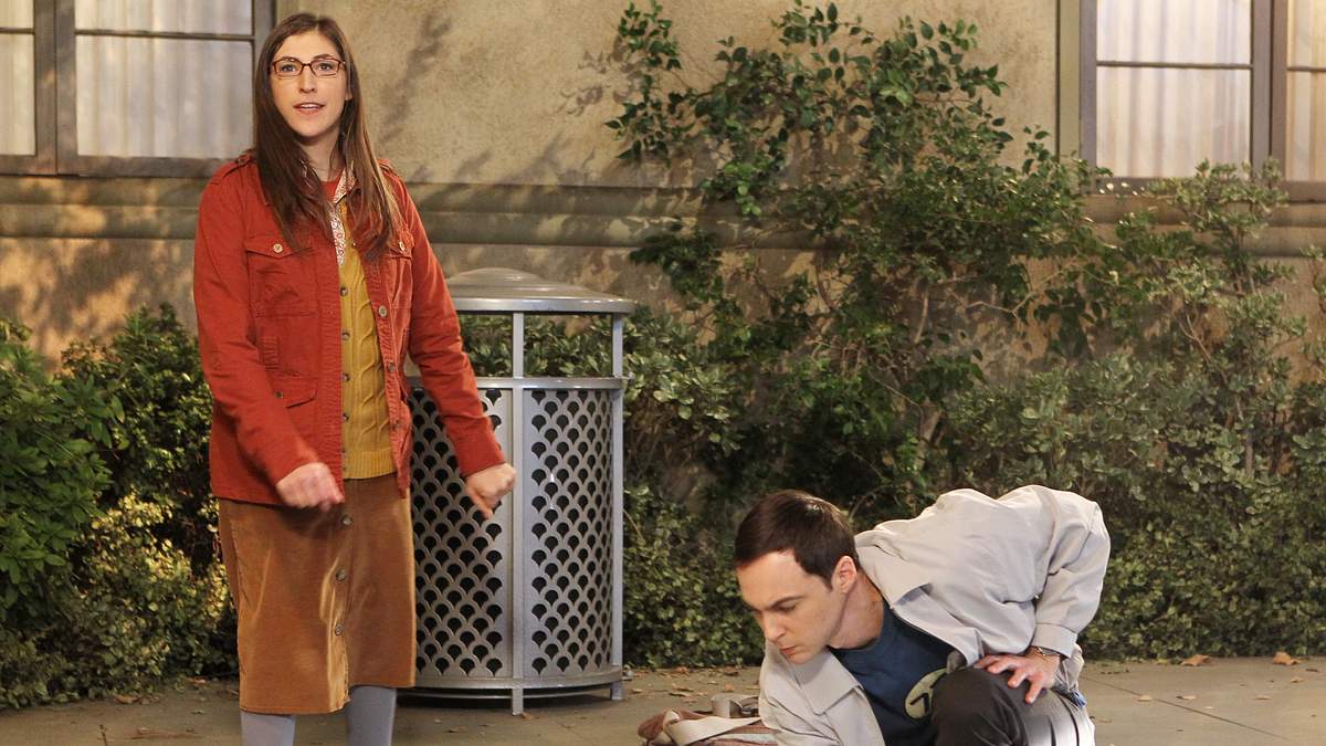 the big bang theory