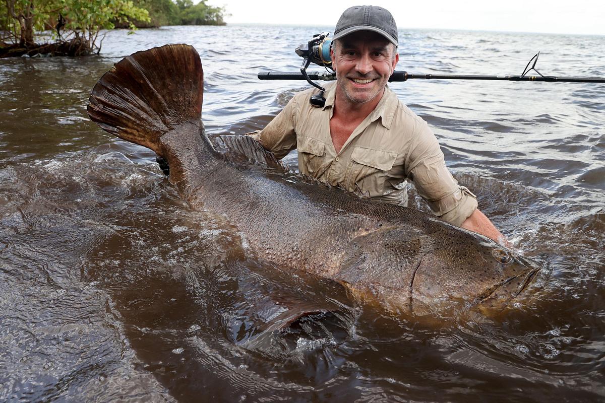giganten unter wasser - riesenfischen auf der spur