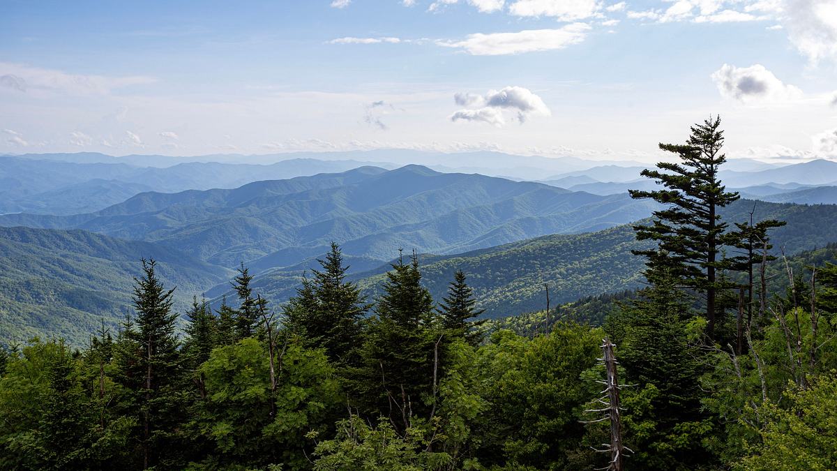 smoky mountains ranger
