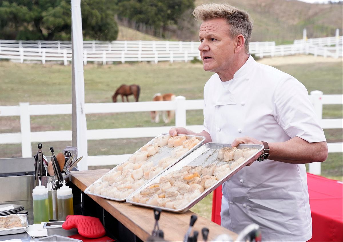 MasterChef USA masterchef usa
